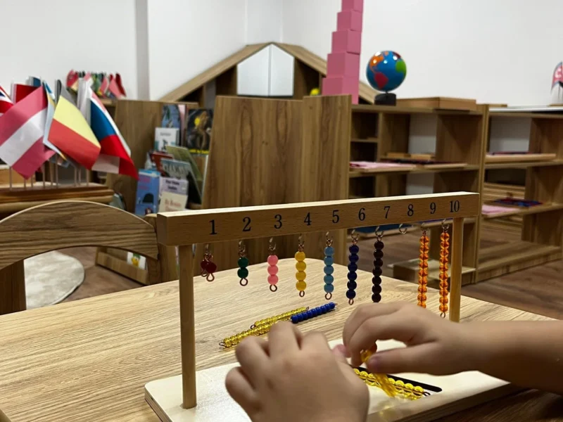 Batman Montessori Ceviz Ağacı Gündüz Bakımevi