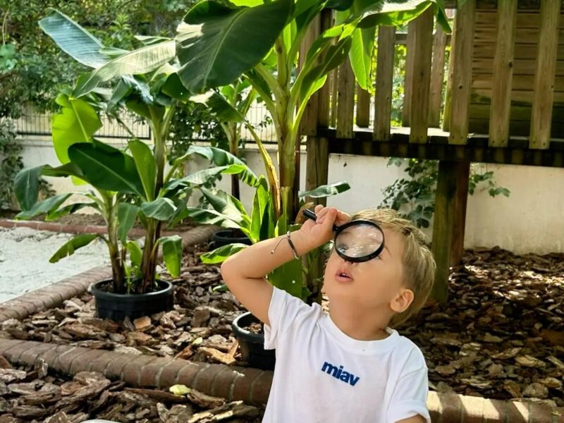 Hayat Ağacı Montessori Anaokulu