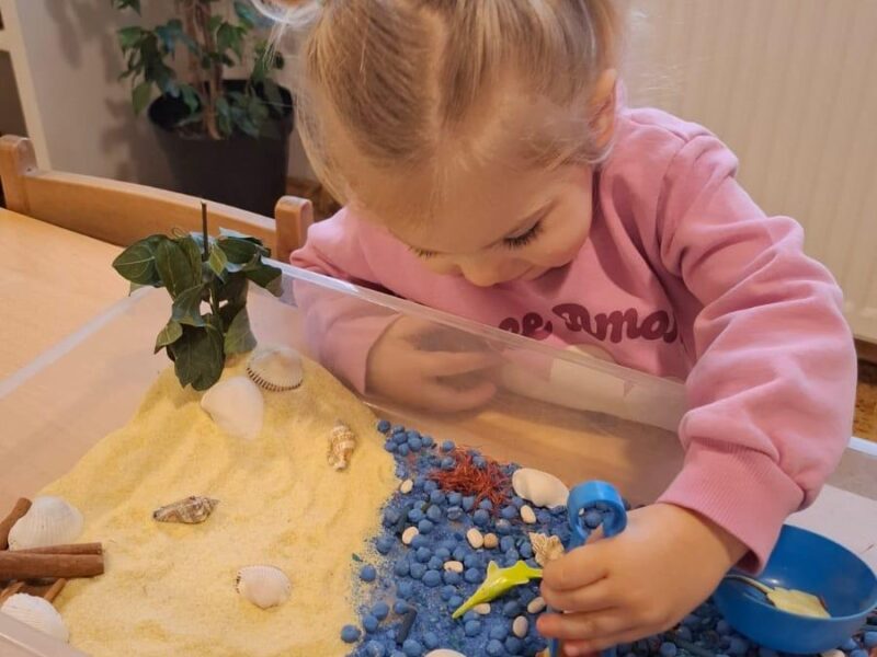 Hayat Ağacı Montessori Anaokulu