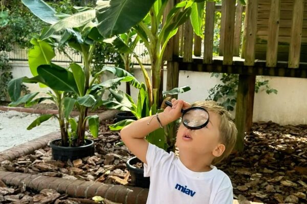 Hayat Ağacı Montessori Anaokulu