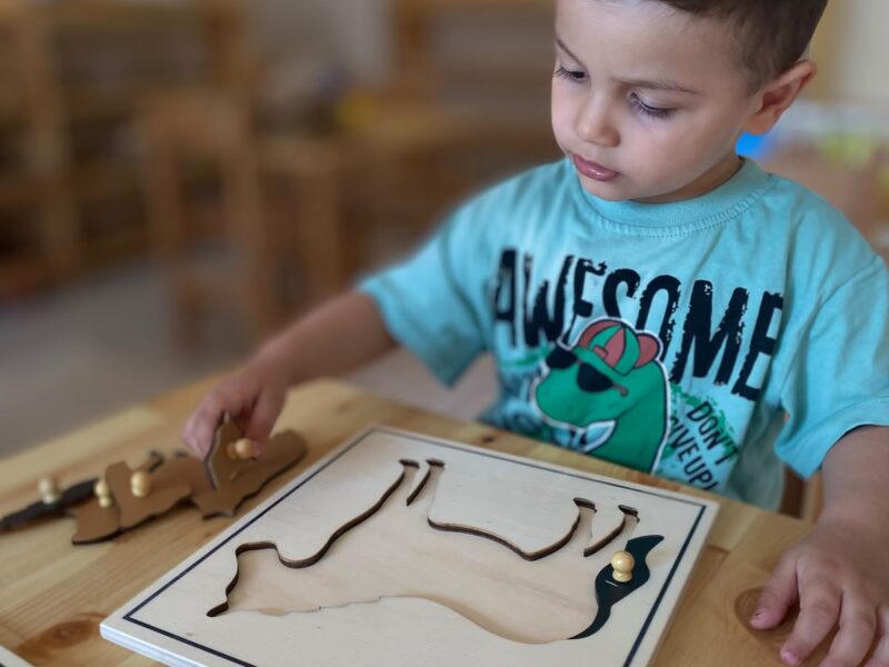 Beylikdüzü Montessori Anasev Anaokulu
